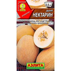 Дыня Нектарин