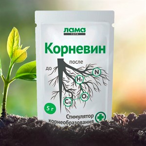 Корневин 5гр биостимулятор корнеобразования