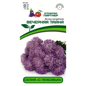 Астра Вечерняя тайна 5шт