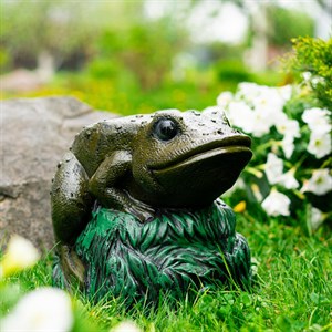 Крышка декоративная для маскировки садовых коммуникаций Лягушка на камне U09182 - фото 125665