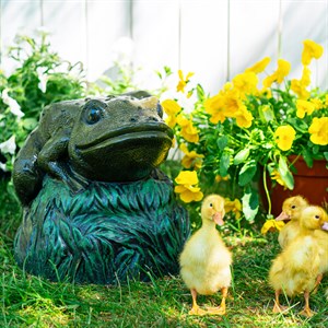 Крышка декоративная для маскировки садовых коммуникаций Лягушка на камне U09182