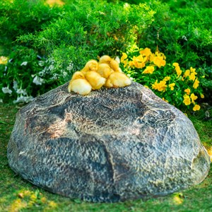 Крышка для канализационного люка Камень-валун низкий F03095