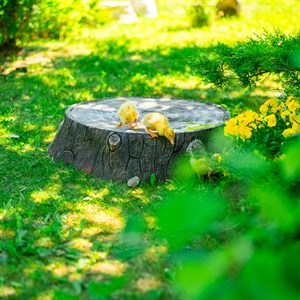 Крышка люка декоративная Пень дубовый на 60 см U09102 - фото 125802
