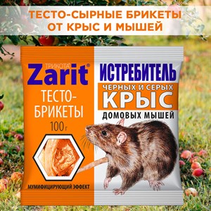 Зарит ТриКота тесто-сыр брикеты 100г