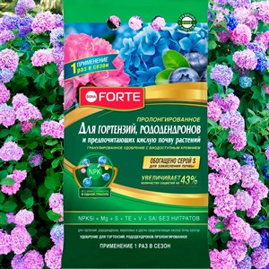Удобрение БОНА ФОРТЕ для гортензий и рододендронов 2,5кг - фото 126456