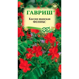 Кассия Феникс 3шт