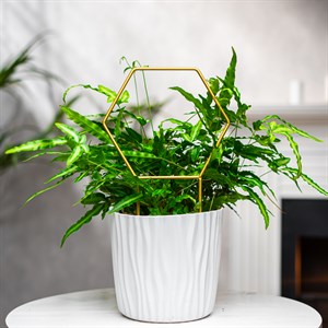 Опора для комнатных растений металл золото 35см 57-933G - фото 126796