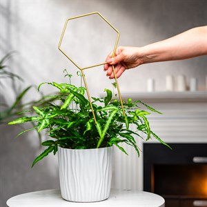 Опора для комнатных растений металл золото 35см 57-933G - фото 126797