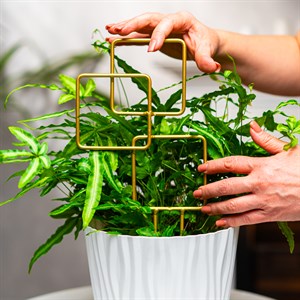 Опора для комнатных растений 32см золотая металл 57-935G - фото 126800