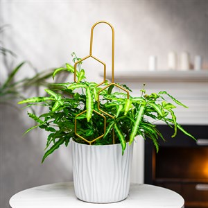 Опора для комнатных растений металлическая золото 45см 57-938G - фото 126802