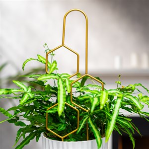 Опора для комнатных растений металлическая золото 45см 57-938G - фото 126803