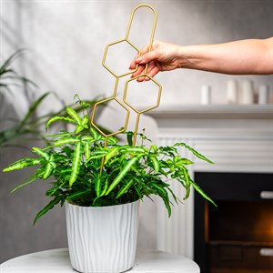 Опора для комнатных растений металлическая золото 45см 57-938G - фото 126804