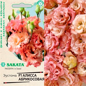 Эустома Алисса абрикосовая 4шт