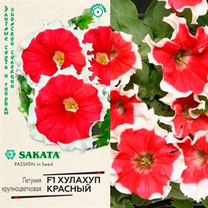 Петуния Хулахуп красный 5шт