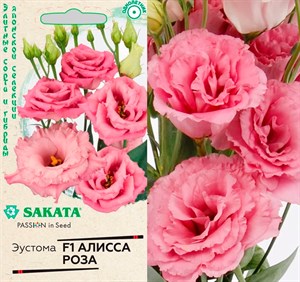 Эустома Алисса роза 4шт