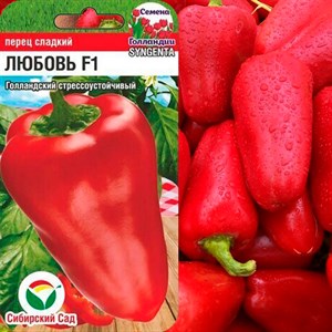 Перец Любовь F1 5шт