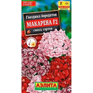 Гвоздика Макарена F2 - фото 127146