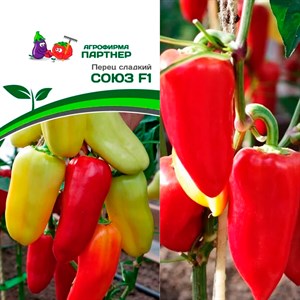 Перец Союз F1 10шт - фото 127212