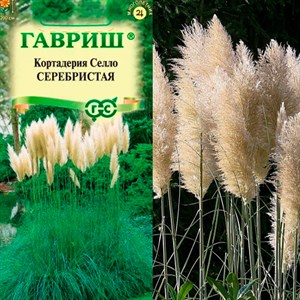 Кортадерия Серебристая 0,01г