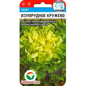 Салат Изумрудное кружево 0,5г - фото 127438