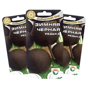 Редька Зимняя черная