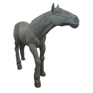 АРХИВ Лошадь - фото 54638