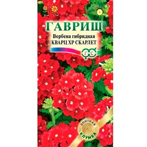 Вербена Кварц ХР Скарлет 4шт