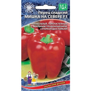 Перец Мишка на Севере F1