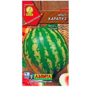 Арбуз Карапуз - фото 65936