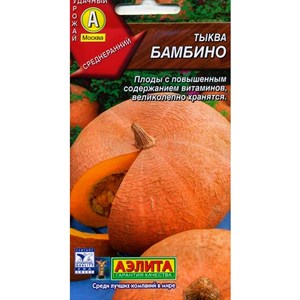 Тыква Бамбино - фото 66035