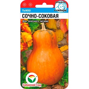 Тыква Сочно-соковая - фото 67911