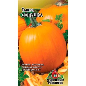 Тыква Золушка 1г УС - фото 68113