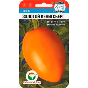 Томат Золотой Кенигсберг 20 шт