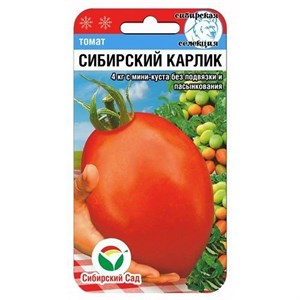 Томат Сибирский карлик 20шт