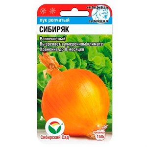 Лук Сибиряк 1гр