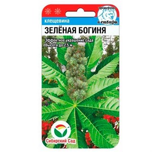 Клещевина Зелёная богиня 5шт