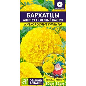 Бархатцы Антигуа желтый карлик 5шт