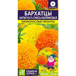 Бархатцы Антигуа смесь 5шт