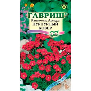 Камнеломка Арендса Пурпурный ковер 0,01гр