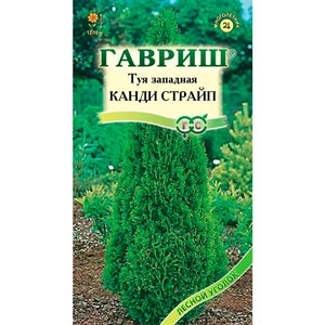 Туя западная Канди Страйп 0,05г