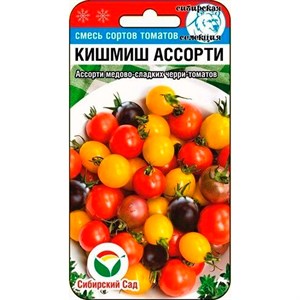 Томат Кишмиш - фото 93671