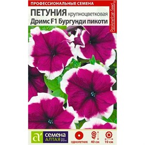 Петуния Дримс Бургунди пикоти 10шт