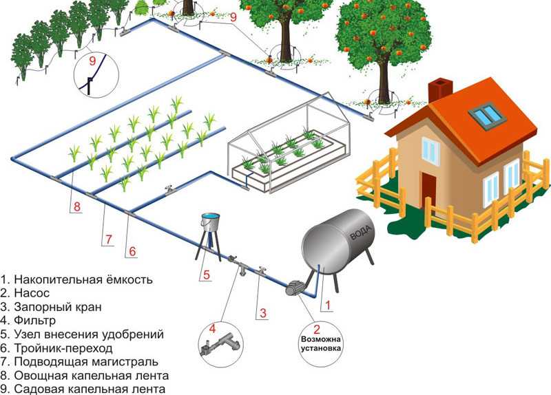 полив