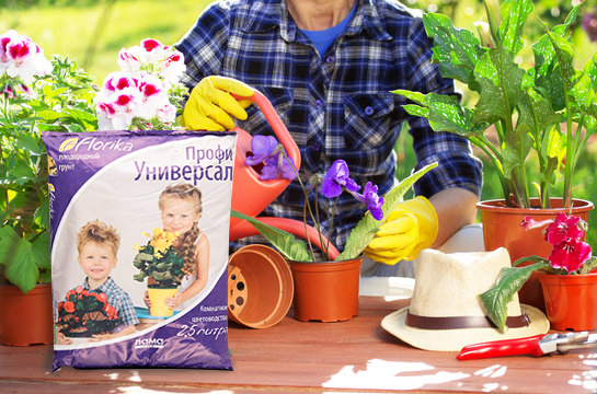 undefinedЗачем уделять внимание почве?</strong> Почвенная смесь является не просто опорой, но и основным источником необходимых микроэлементов и влаги. Она должна обеспечивать корням свободный доступ к кислороду, способствовать эффективному дренажу и поддерживать оптимальный уровень влажности. Каждый компонент субстрата играет свою роль, будь то песок для улучшения дренажа или перегной для повышения плодородия.»></p>
<p><em>Изучение ключевых характеристик субстратов</em> позволит сделать осознанный выбор и создать идеальные условия для роста и процветания зеленых обитателей вашего дома. Важно учитывать особенности конкретных видов и адаптировать состав почвы к их специфическим потребностям. Таким образом, понимание основных факторов, влияющих на качество субстрата, поможет обеспечить долгую и здоровую жизнь вашим растениям.</p>
<p><img decoding=