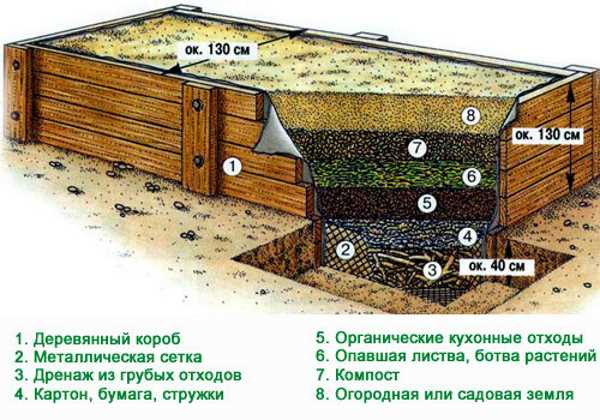 Грядка в деревянном коробе